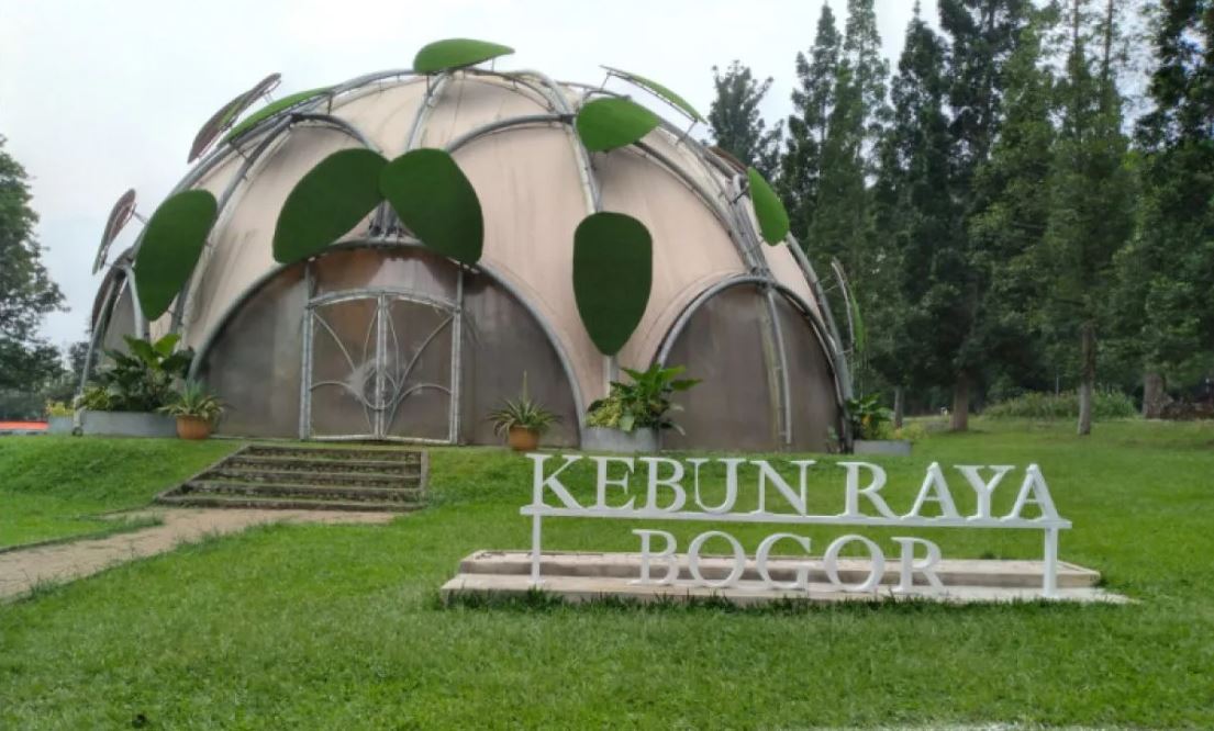 Kebun Raya Bogor, salah satu kebun botani tertua di Asia, menawarkan pohon raksasa, danau dengan angsa, serta jembatan merah melengkung bak gerbang elf.