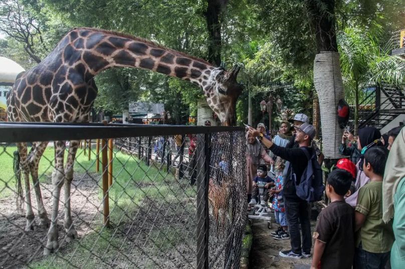 Kebun Binatang Surabaya yang ramai pengunjung.