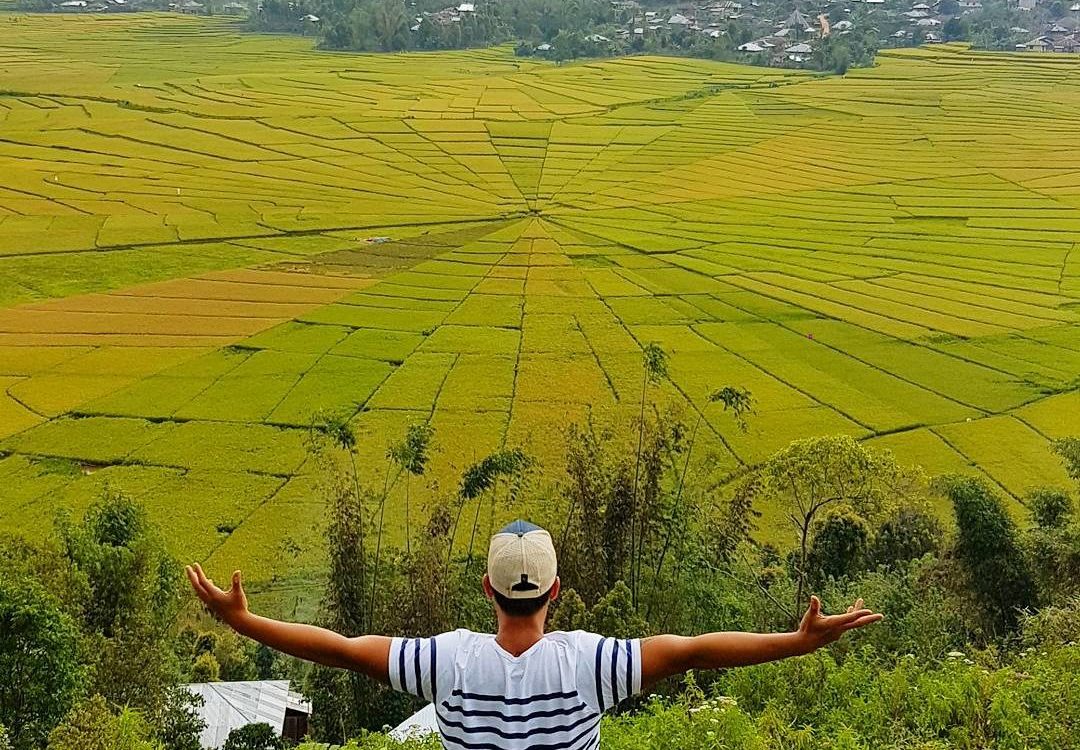 Wisata sawah Lodok Lingko Rateng, Manggarai, dengan pola jaring laba-laba.