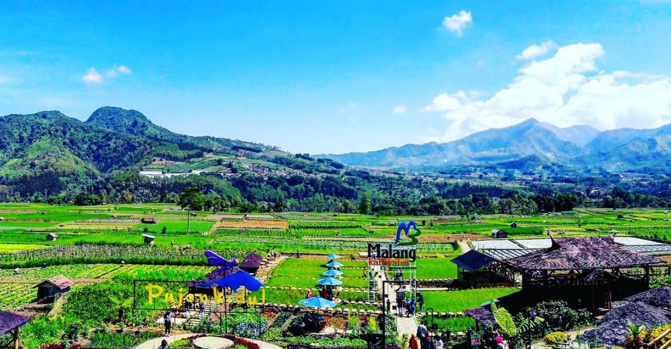 Wisata petik buah di Malang adalah cara sempurna untuk berlibur sambil belajar, berinteraksi dengan alam, dan menikmati hasil bumi yang segar.