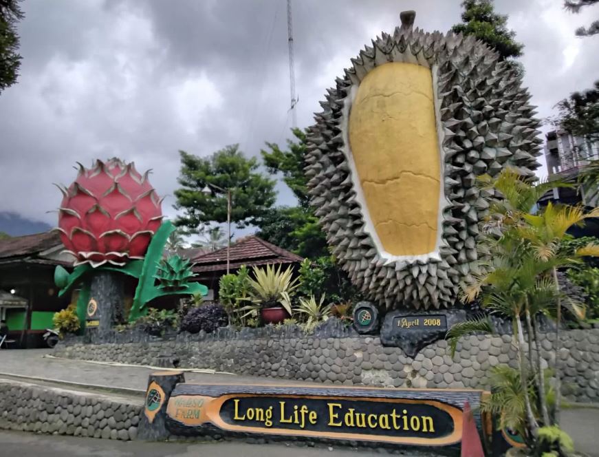 Warso Farm dikenal sebagai ikon agrowisata durian di Jl. K.H. Halimi, Cipelang, Cijeruk, Bogor.