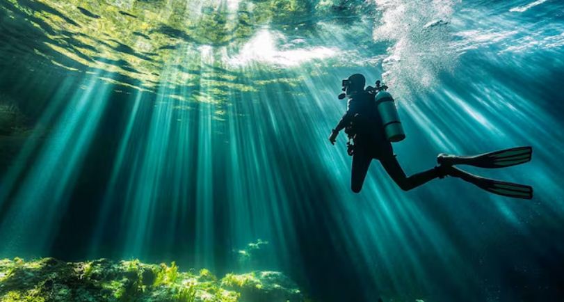 Ilustrasi diving dengan pemandangan yang menakjubkan.
