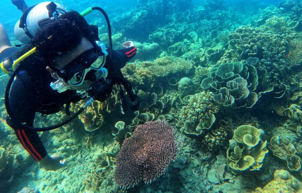 Diving di Karimunjawa.