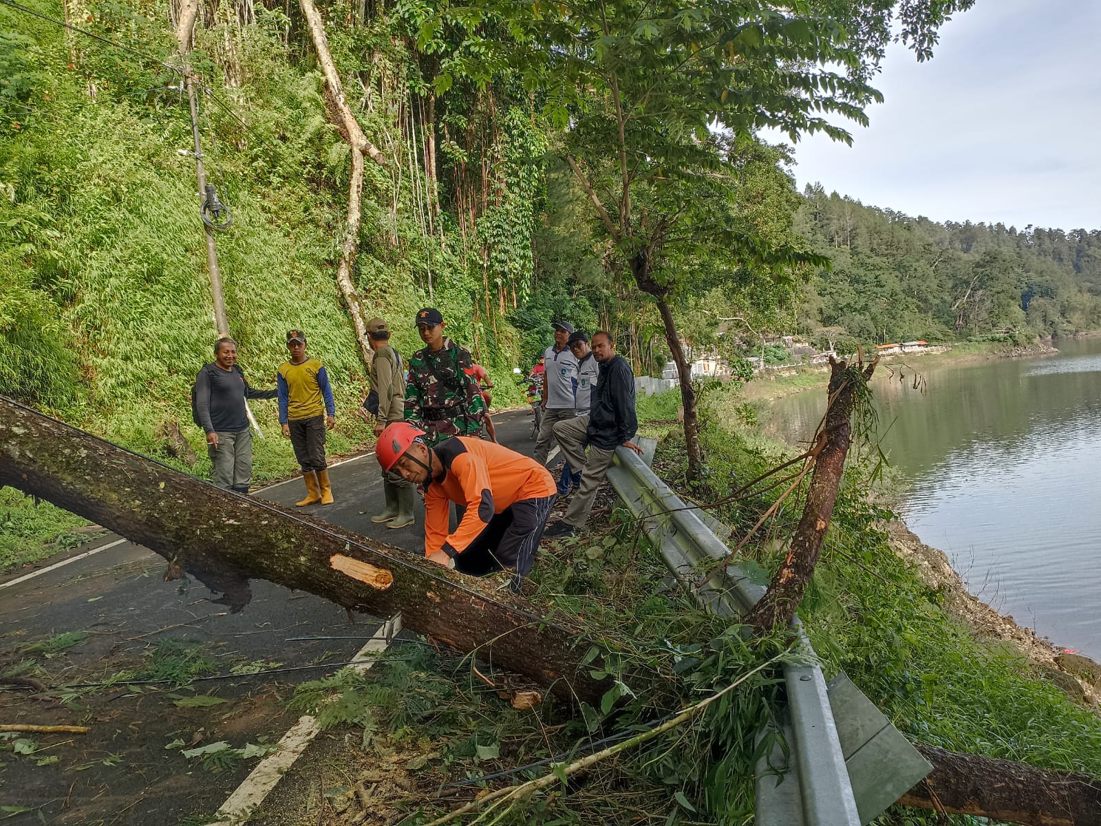 Petugas BPBD Ponorogo bersama relawan membersihkan batang pinus yang menutup Jalur Lingkar Telaga Ngebel, Jumat (7/11). Jalur kembali dibuka setelah tujuh jam tertutup. SUGENG DWI N/RADAR PONOROGO