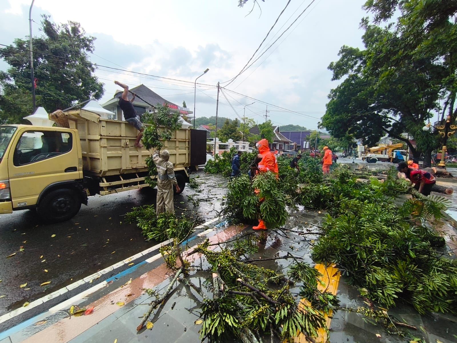 Petugas BPBD Pacitan bersama DLH dan Satpol PP mengevakuasi batang pohon glodokan tiang yang tumbang di sisi utara Alun-Alun Pacitan akibat hujan deras disertai angin kencang, Sabtu (8/11). FOTO: BPBB