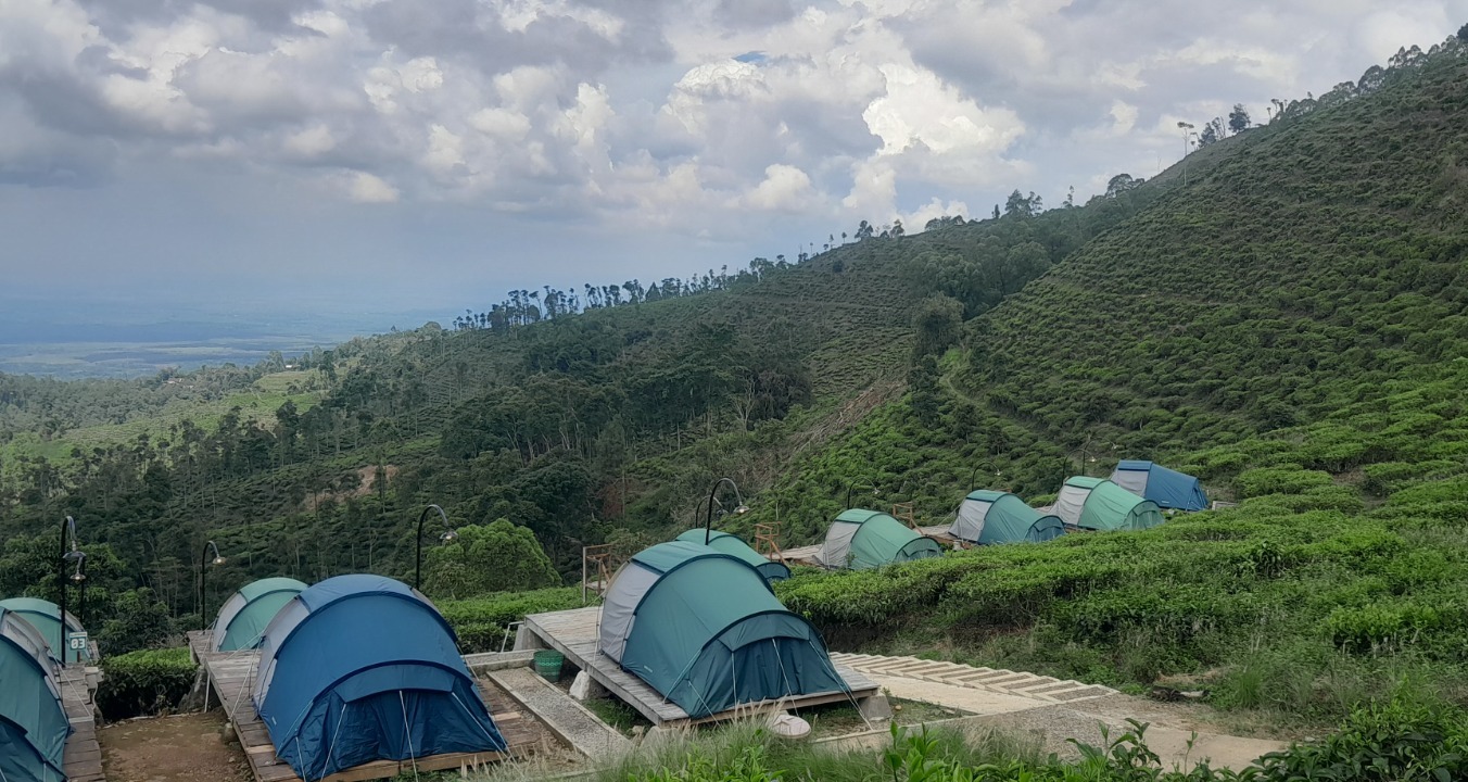 Area glamping Kebun Teh Jamus di Desa Girikerto, Sine, tampak lengang sejak memasuki musim penghujan. Pengunjung turun hingga 30 persen. ASEP SYAEFUL/RADAR NGAWI