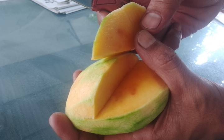 Buah mangga yang menyehatkan. Ada banyak resep makanan dengan bahan dasar buah kaya vitamin ini.