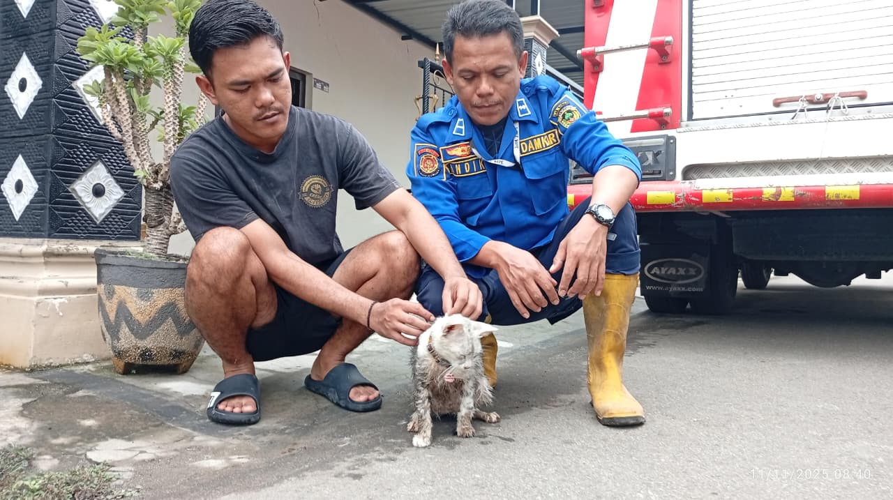 Petugas Damkar mengevakuasi kucing Nemo yang terjebak di sumur sedalam 15 meter di Desa Kaibon, Kecamatan Geger. DIAN RAHAYU/RADAR MADIUN
