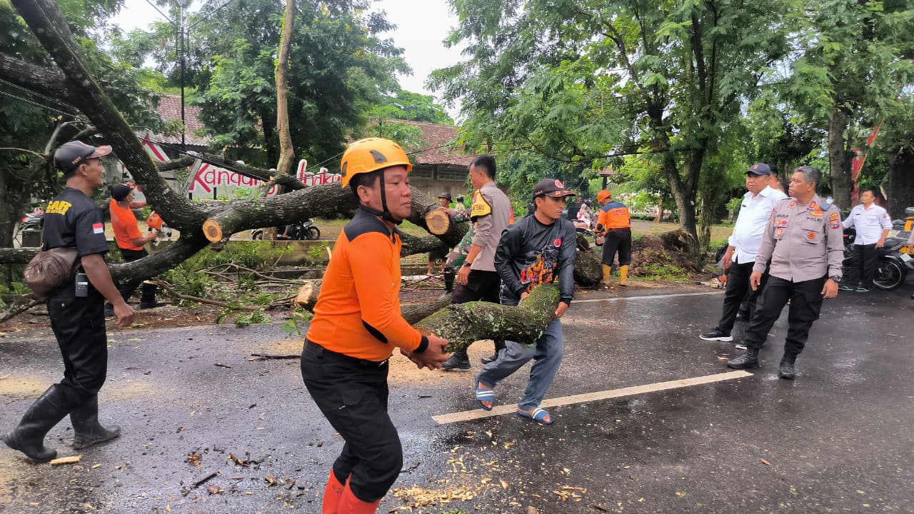 Petugas BPBD, Polri, TNI, dan warga membersihkan pohon tumbang yang menutup Jalan Raya Dungus&ndash;Mojopurno, Rabu (12/11). FOTO: BPBD KAB. MADIUN FOR RADAR MADIUN