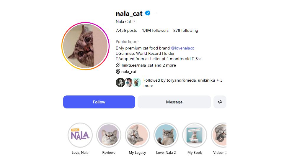 Nala Cat salah satu kucing populer di media sosial.