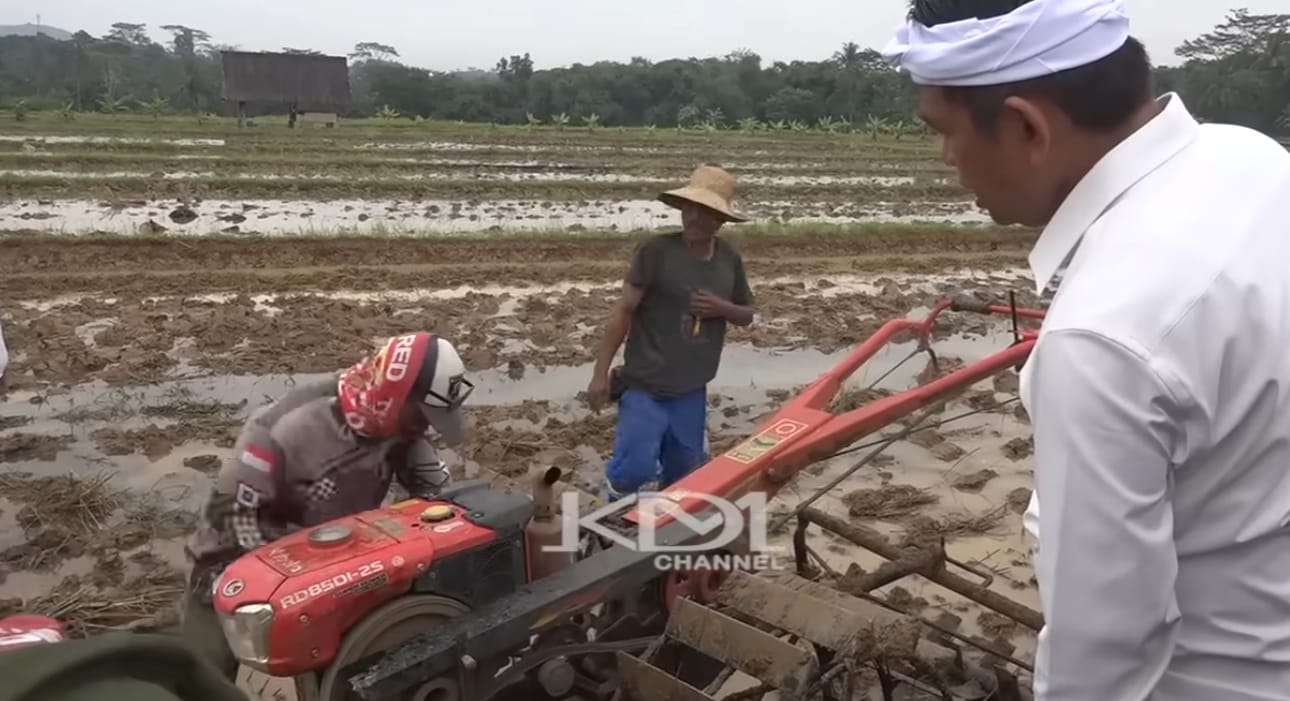 Gubernur Jabar Dedi Mulyadi melakukan uji coba Bobibos di traktor sawah.