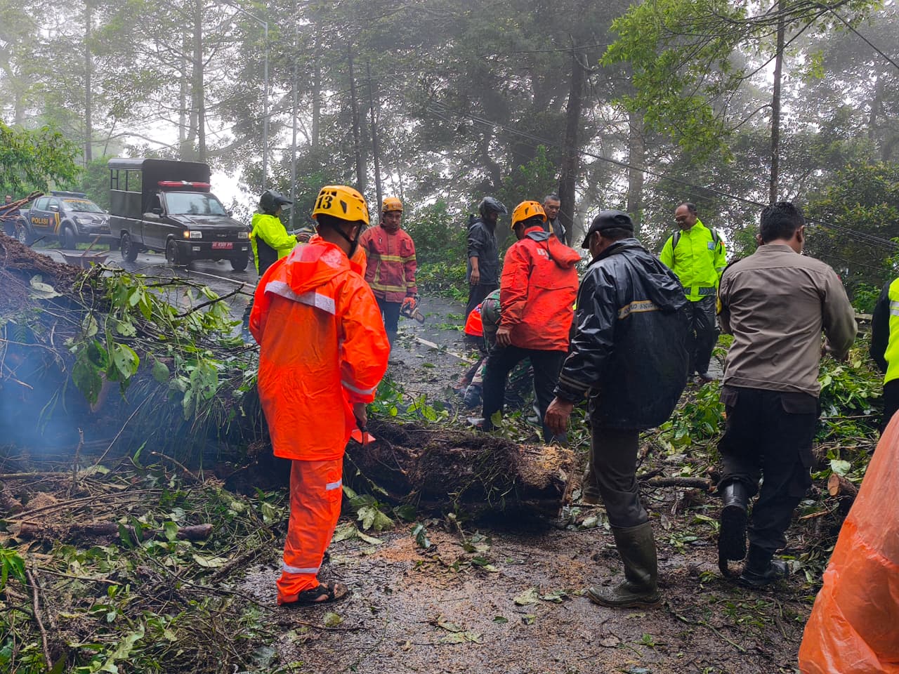 Petugas BPBD, TNI, Polri, dan relawan mengevakuasi pohon pasang tumbang yang sempat menutup akses Jalan Raya Sarangan&ndash;Cemorosewu, Sabtu (15/11) pagi. FOTO: BPBD UNTUK RADAR MAGETAN