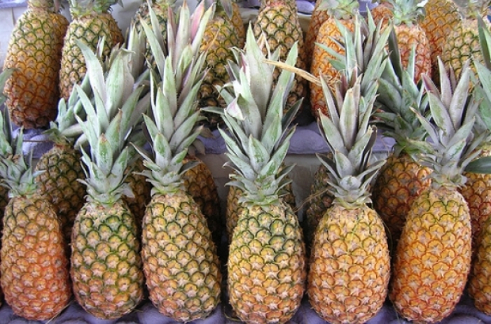 Ilustrasi nanas abacaxi.