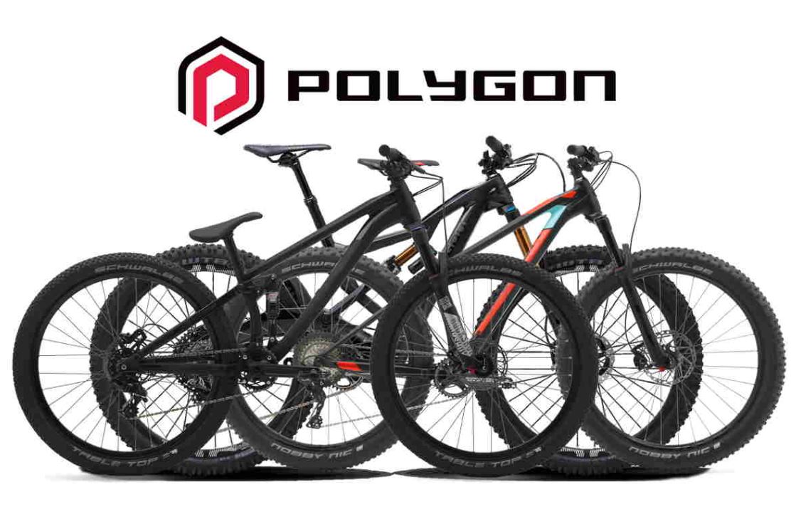 Panduan memilih sepeda Polygon terbaik untuk segala kebutuhan, lengkap dengan jenis, material, dan ukuran frame.