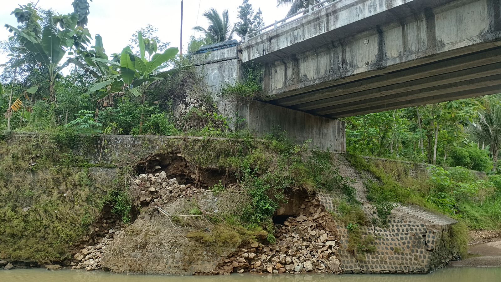 Talud penyangga Jembatan Sambong terlihat ambrol setelah tergerus arus sungai, mengancam pondasi jembatan yang dibangun pada 2021. NUR CAHYONO/RADAR PACITAN