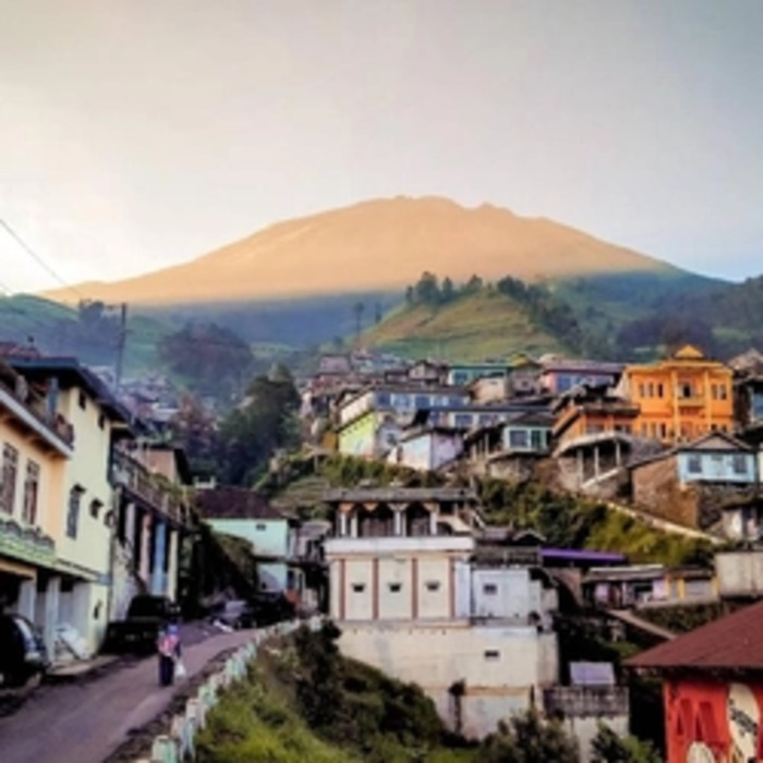 Nepal Van Java