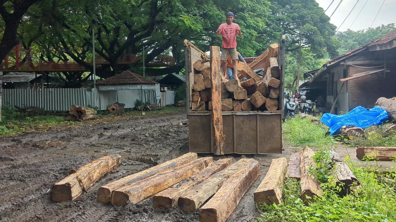 Puluhan batang kayu jenis jati diamankan petugas gabungan Polres Madiun dan Polhutmob, kemarin (21/11). DIAN RAHAYU/RADAR MADIUN