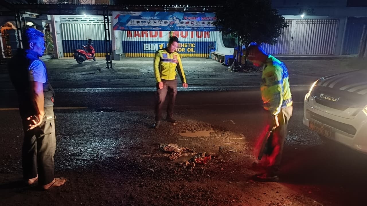 Petugas Satlantas Polres Ponorogo melakukan olah TKP di lokasi kecelakaan tunggal akibat lubang jalan di Desa Campursari, Sambit. FOTO: SATLANTAS POLRES PONOROGO