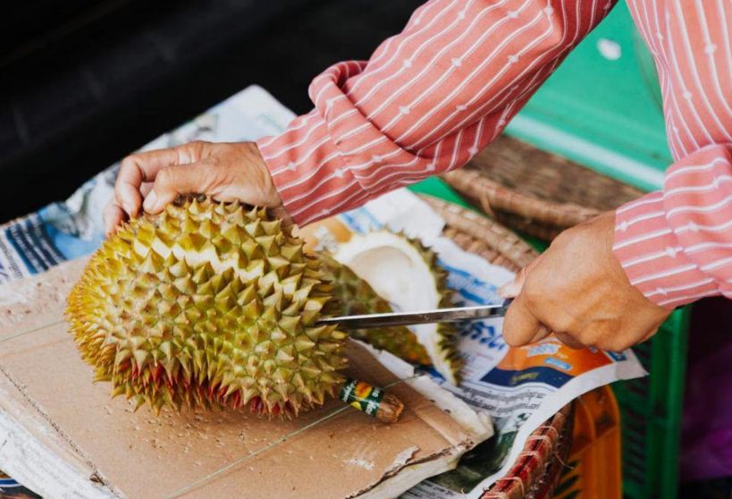 Ilustrasi membuka durian.