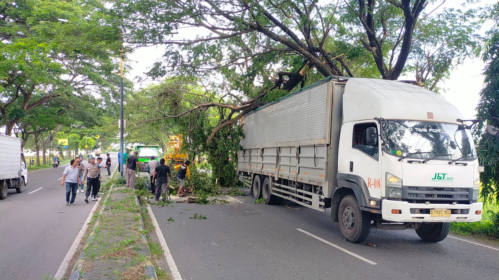 Petugas dari disperkim mengevakuasi pohon trembesi yang tumbang menimpa truk di Ring Road, Kamis (27/11). FOTO: ISTIMEWA