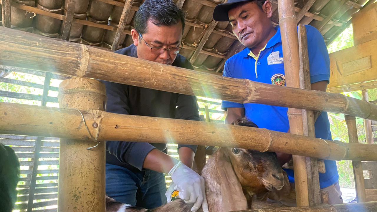 Dokter hewan DKPP Kabupaten Madiun memberikan layanan vitamin gratis kepada peternak di Desa Muneng, Pilangkenceng. DOK RADAR MADIUN