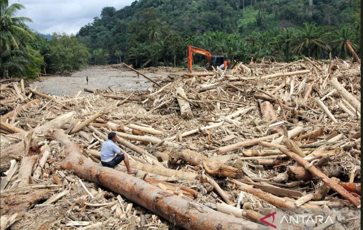 Pemerintah diminta mengusut kayu gelondongan yang terseret banjir di Sumatera.