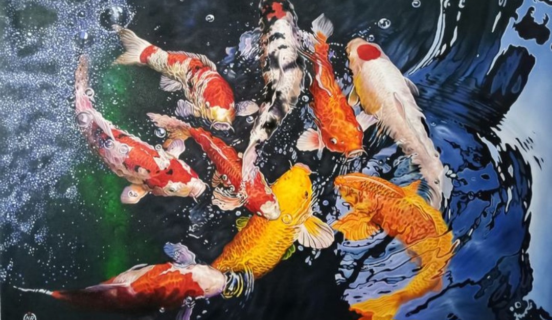 Jika memiliki halaman atau kolam taman, koi merupakan pilihan ideal.