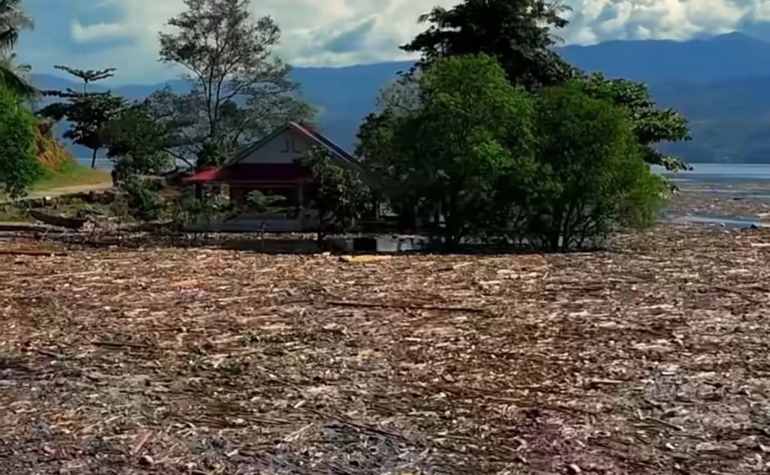 Danau Singkarak di Sumatera Barat dipenuhi kayu gelondongan usai banjir bandang.
