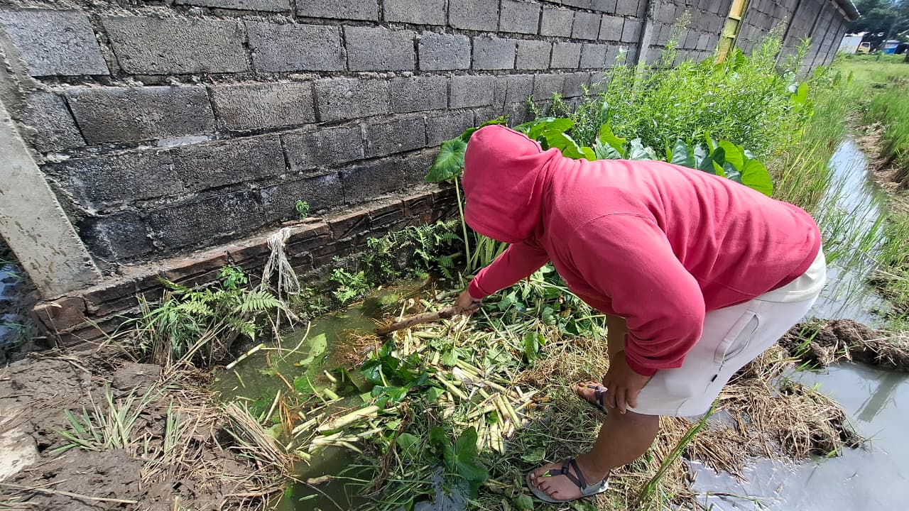 Parit di Desa Sumberejo, Geger, yang dialiri limbah diduga dari dapur SPPG Assalam, mengalir ke area persawahan dan dikeluhkan petani setempat. FOTO: DIAN RAHAYU/RADAR MADIUN