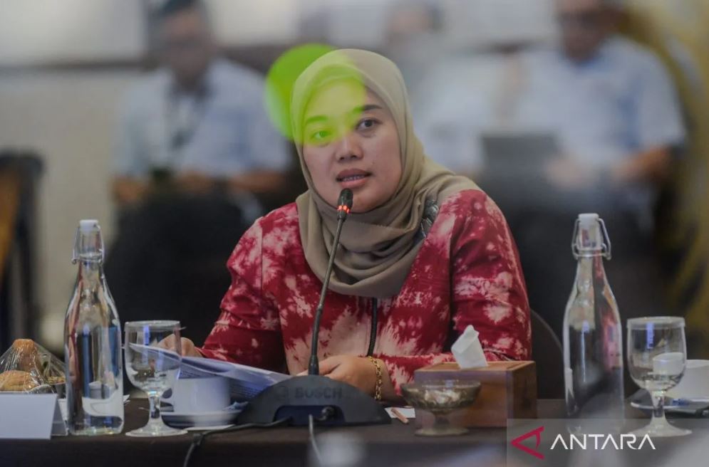 Wakil Ketua Komisi VII DPR RI, Chusnunia Chalim