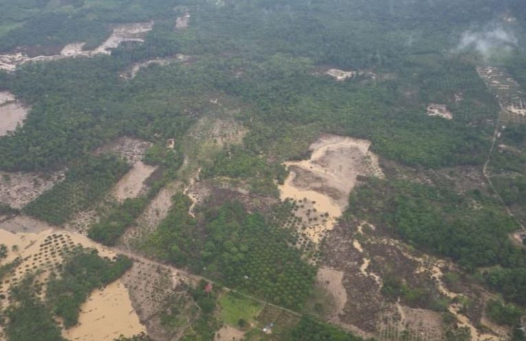 Pantauan udara yang dilakukan KLH memperlihatkan pembukaan kawasan hulu DAS untuk perkebunan.