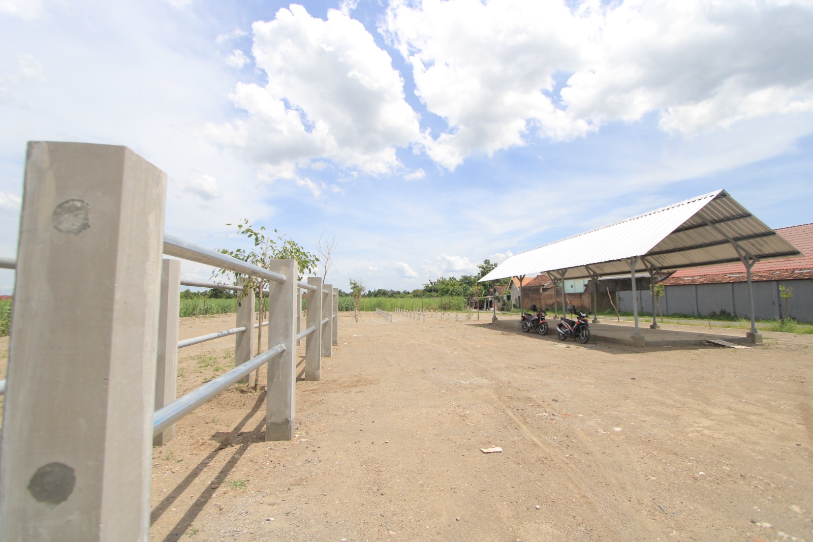 Lahan di belakang Puskesmas Maospati, Kelurahan Totok, yang menjadi lokasi baru Pasar Hewan Pahingan mulai 21 Desember mendatang. AJI PUTRA/JAWA POS RADAR MAGETAN