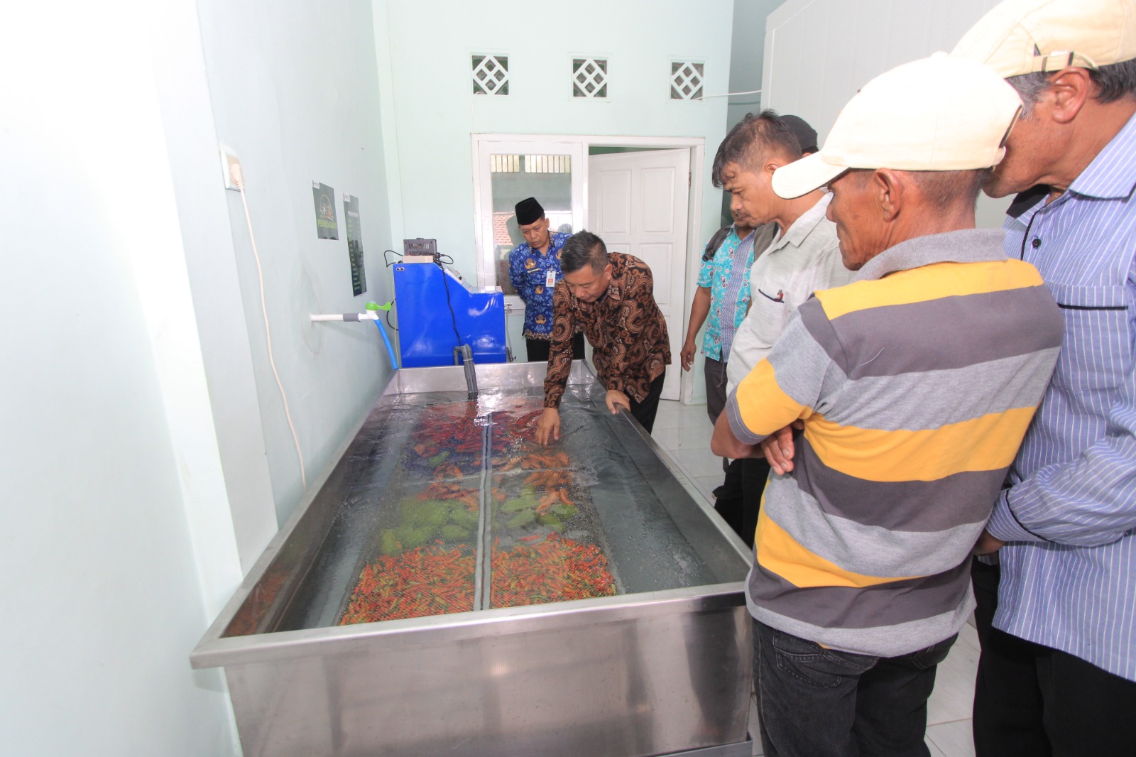 Teknologi Generator Ozon diklaim mampu memperpanjang masa simpan sayuran hortikultura yang mudah rusak, sehingga petani tak terburu-buru menjual hasil panen saat harga anjlok. AJI PUTRA/RADAR MAGETAN