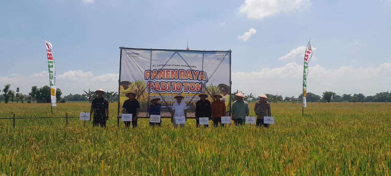 PANEN RAYA: Regional Sales Manager PT Saprotan Utama Nusantara untuk wilayah Jawa-Nusra, Sriyanto bersama Kepala DKPP Ngawi Supardi dan jajaran panen raya di Sidorejo, Geneng, Ngawi.