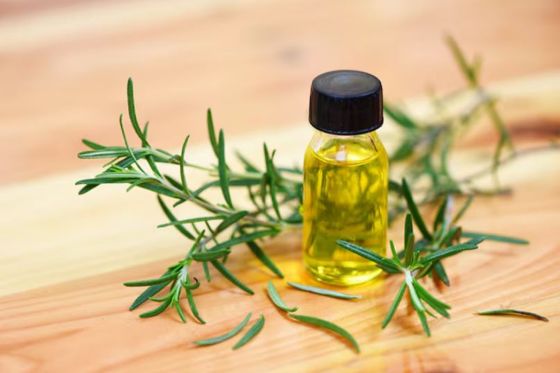 Ilustrasi rosemary oil.