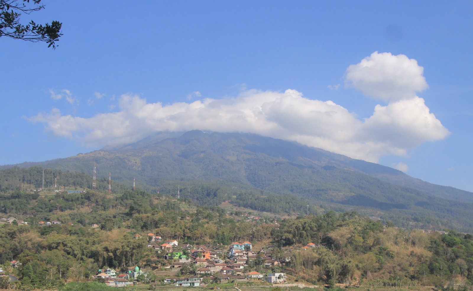 Gunung Lawu di wilayah Magetan diusulkan menjadi bagian dari kawasan konservasi Taman Hutan Raya (Tahura). AJI PUTRA/JAWA POS RADAR MAGETAN