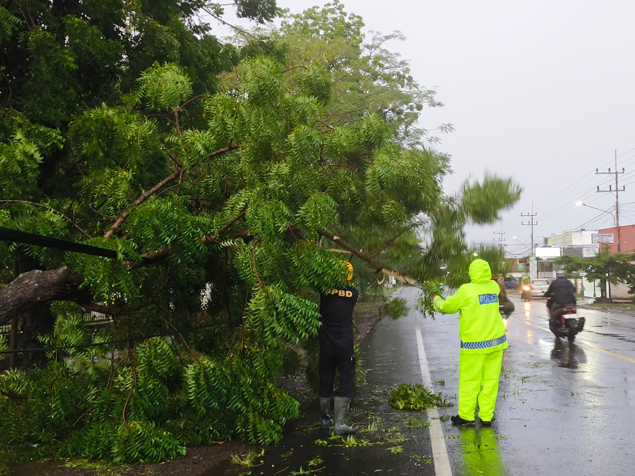 TUMBANG: Hujan deras disertai angin kencang membuat sejumlah pohon tumbang di wilayah Magetan, memicu kewaspadaan cuaca ekstrem jelang Tahun Baru. DOK RADAR MAGETAN