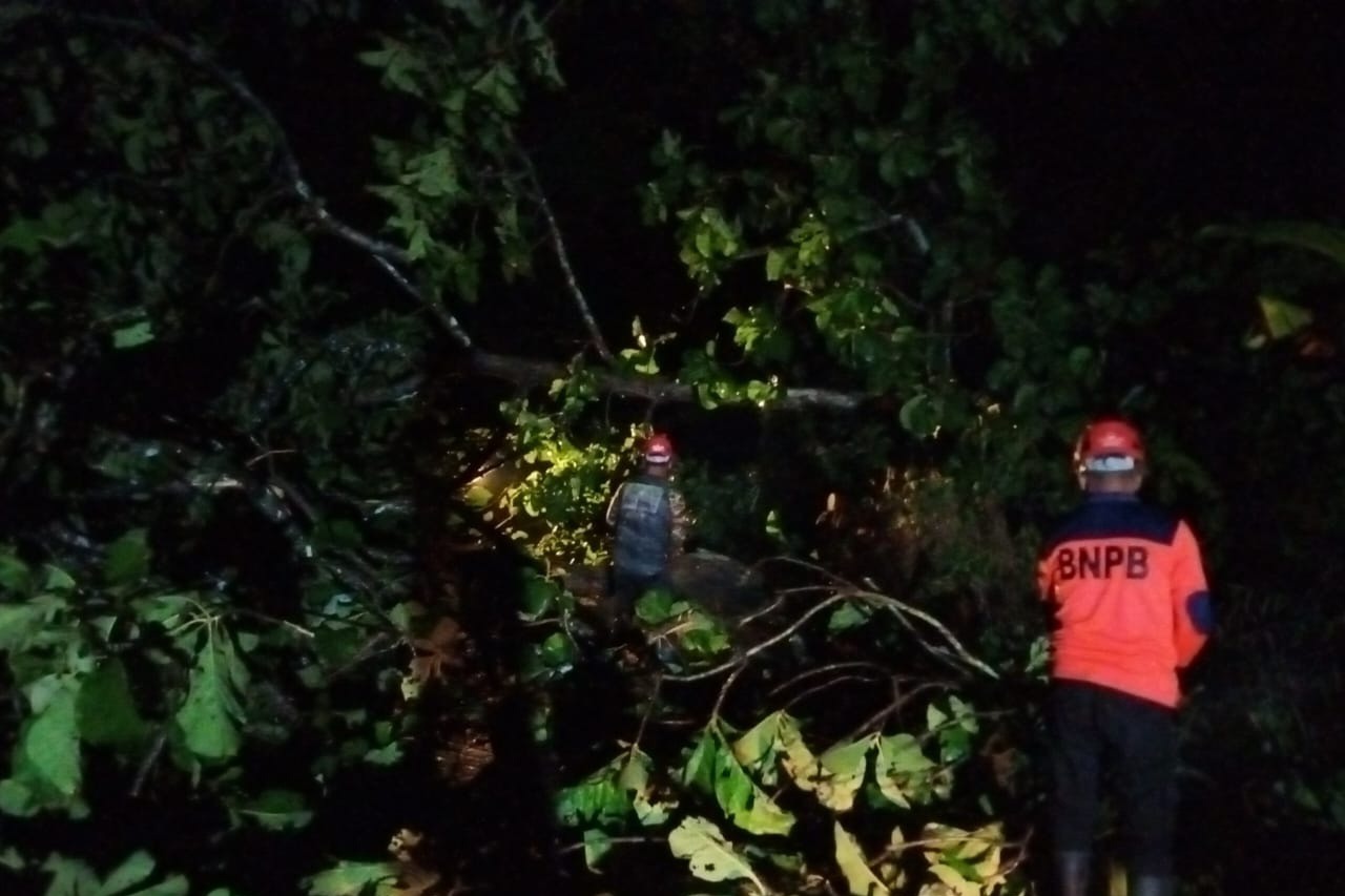 EVAKUASI: Tim TRC BPBD Ngawi melakukan evakuasi pohon tumbang di Jalan Raya Ngawi&ndash;Solo, Desa Plang Lor, Kecamatan Kedunggalar, beberapa waktu lalu.
