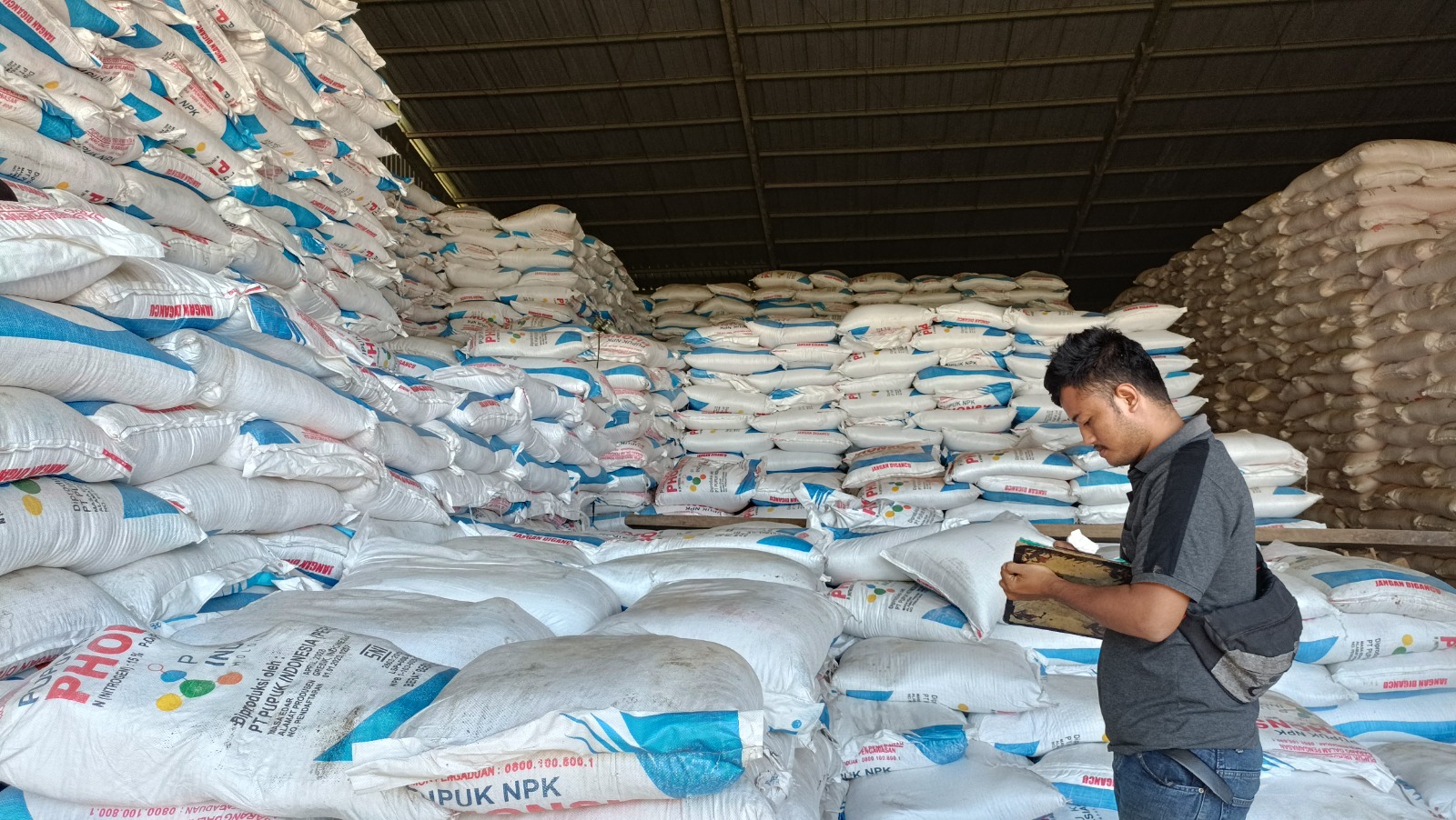 SERAPAN RENDAH: Petani di Pacitan masih cenderung menggunakan pupuk kimia, membuat serapan pupuk organik bersubsidi terendah dibanding jenis lainnya sepanjang 2025. NUR CAHYONO/RADAR PACITAN