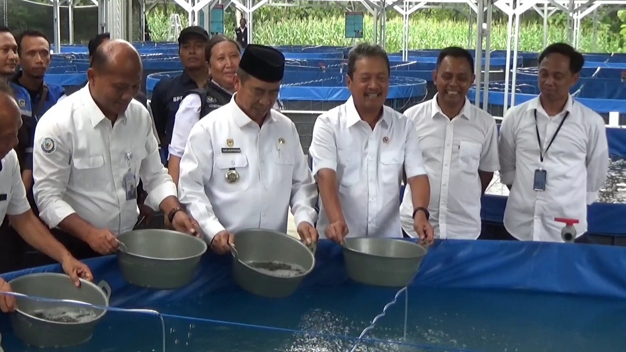 DITINJAU: Kementerian Kelautan dan Perikanan RI meninjau lokasi budidaya ikan tematik berbasis bioflok yang dikelola Koperasi Merah Putih di Desa Luworo. FOTO: ISTIMEWA
