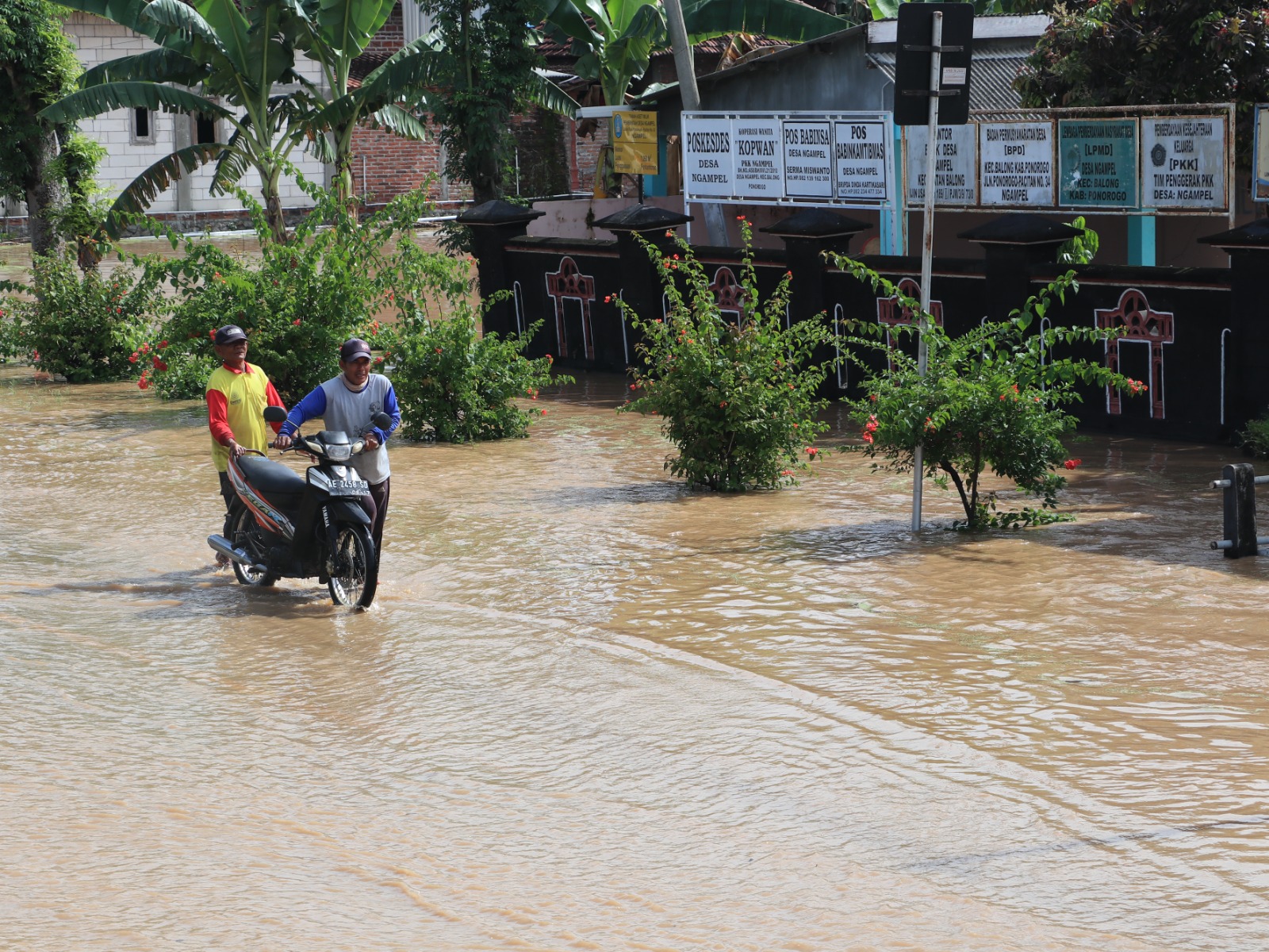 SAWAH TERENDAM: Puluhan hektare lahan pertanian di Desa Ngampel, Balong, Ponorogo, berubah menjadi genangan banjir dan mengancam gagal panen. SUGENG DWI N/RADAR PONOROGO