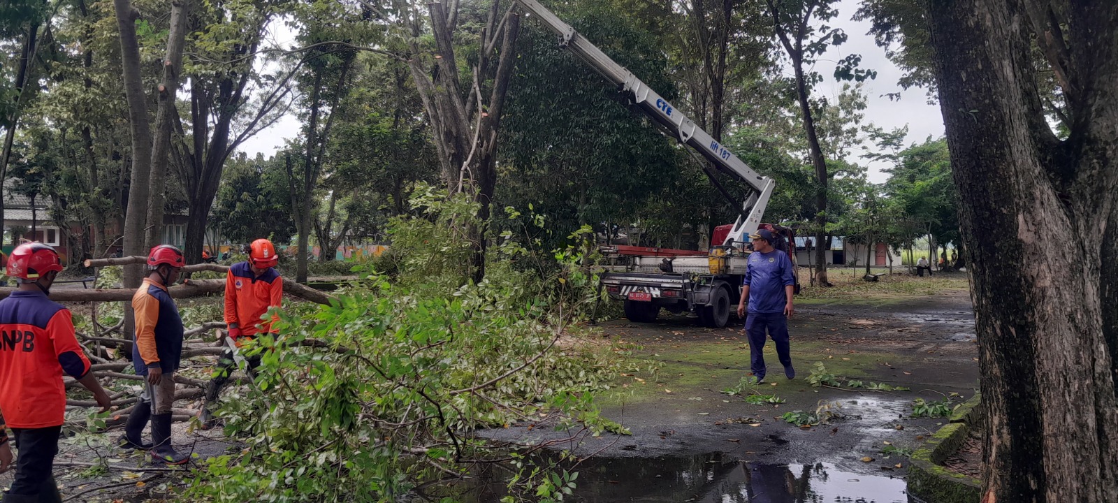 PERSIAPAN: Perampingan pohon dilakukan di sejumlah titik di Ngawi sebagai bagian persiapan venue kunjungan Presiden Prabowo Subianto. ASEP SYAEFUL/RADAR NGAWI