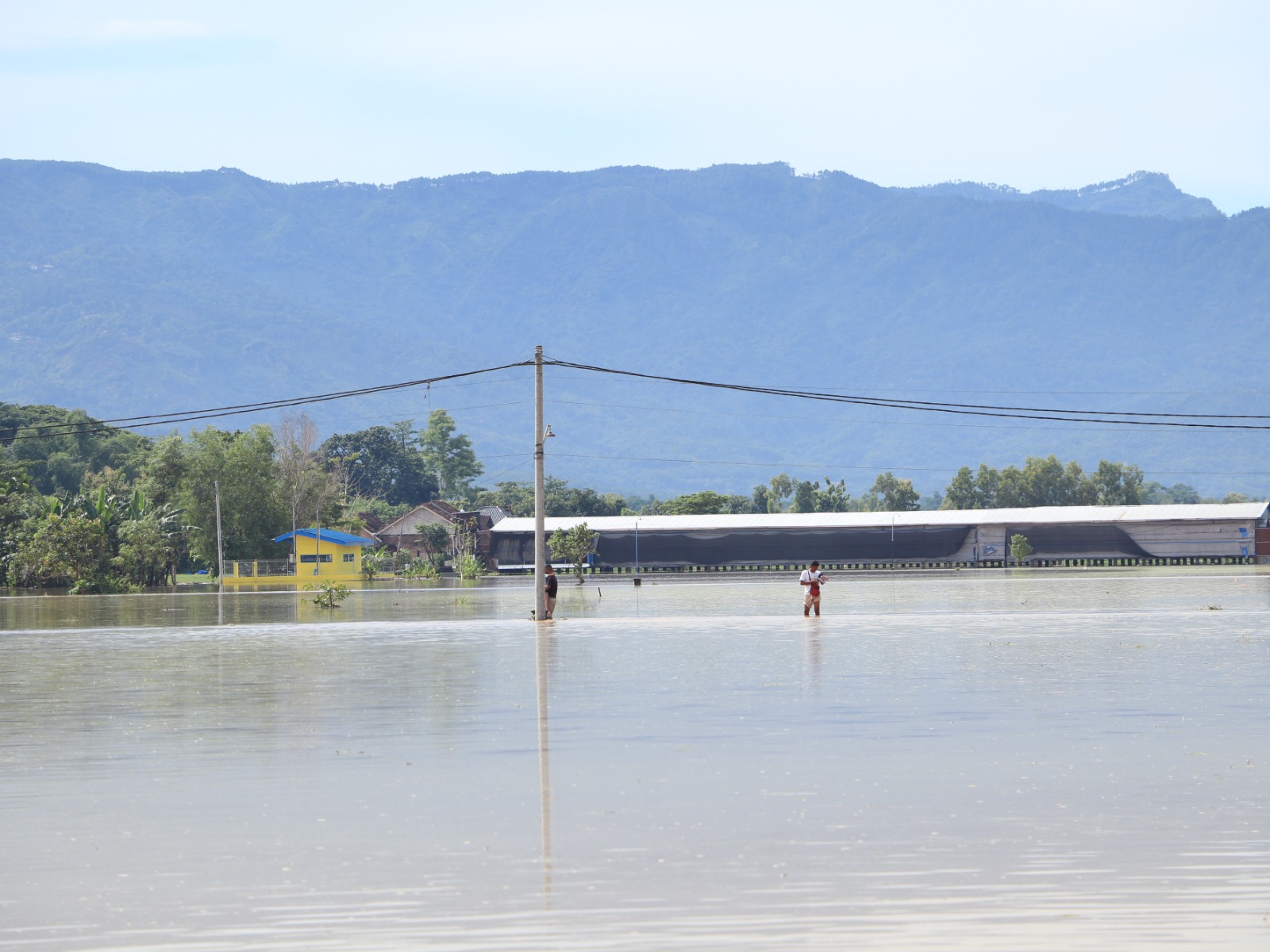 BANJIR TAHUNAN: Sawah di wilayah Ponorogo selatan terendam banjir awal tahun, menyebabkan puluhan hektare lahan pertanian dipastikan gagal panen. SUGENG DWI N/RADAR PONOROGO