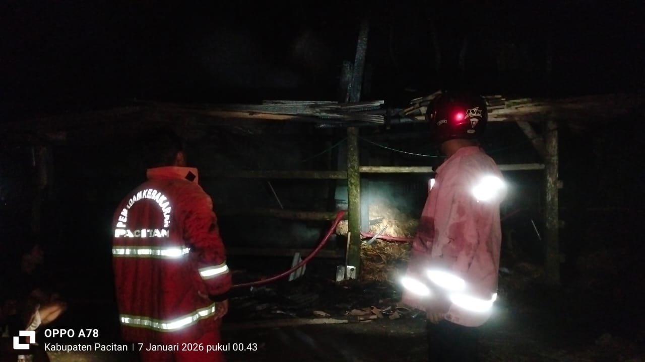 ATASI AMUK API: Petugas Damkar Pacitan memadamkan kebakaran kandang sapi di Dusun Krajan, Donorojo, Selasa (6/1) tengah malam. Beruntung, seluruh ternak berhasil menyelamatkan diri.