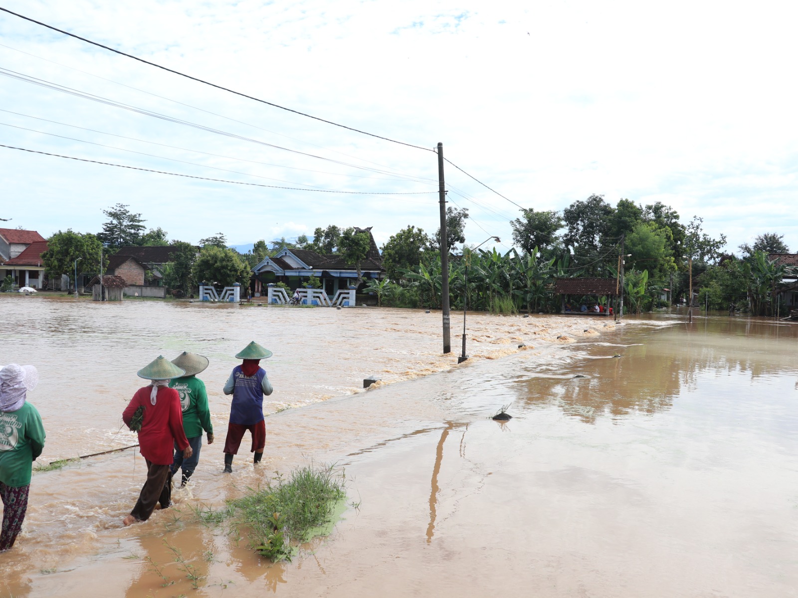 TERENDAM BANJIR: Ratusan hektare sawah di Kabupaten Ponorogo terendam banjir awal 2026, menyebabkan tanaman padi mati dan petani menunggu kepastian kompensasi. SUGENG DWI N/RADAR PONOROGO