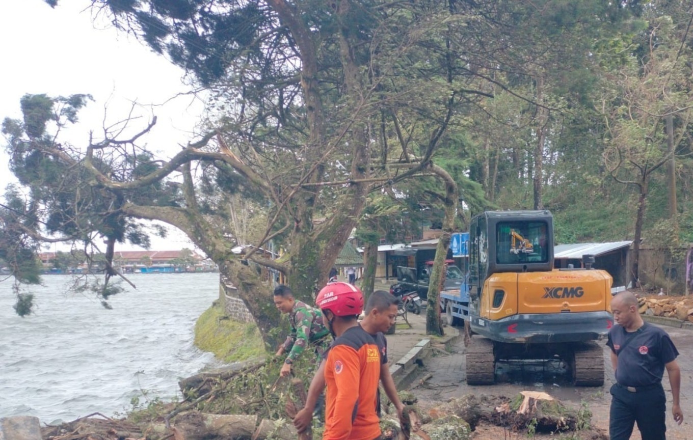 HATI-HATI: Pohon kersen tumbang menimpa kabel di kawasan wisata Telaga Sarangan akibat hujan disertai angin kencang. FOTO: ISTIMEWA