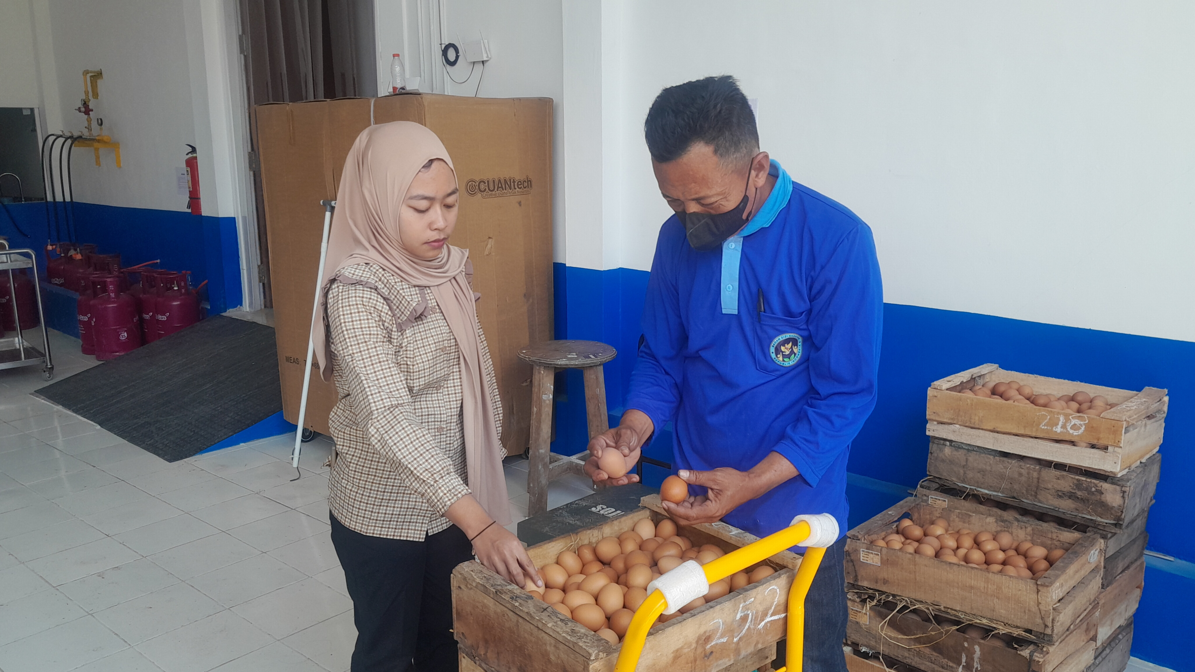 Pegawai SPPG bakal diangkat sebagai PPPK berdasarkan Perpres 115 tahun 2025.