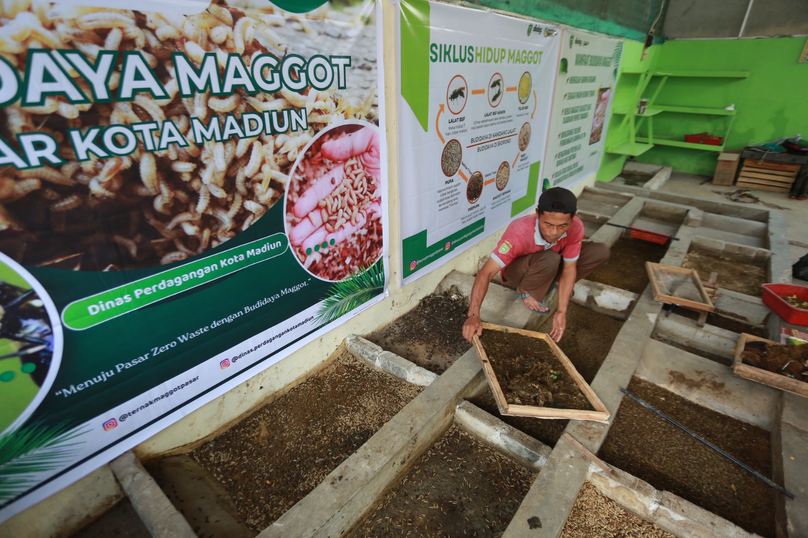 CACING MAGOT: Media budidaya magot sebagai bagian dari pengelolaan sampah organik di Pasar Besar Madiun untuk mendukung program zero waste. BAGAS BIMANTARA/RADAR MADIUN
