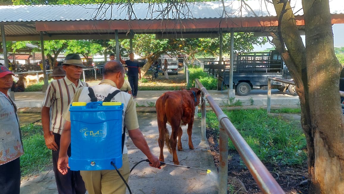 DIDESINFEKSI: Petugas DKPP Kabupaten Madiun melakukan penyemprotan disinfektan pada hewan ternak di Pasar Hewan Bajulan untuk mencegah penyebaran PMK. DIAN RAHAYU/RADAR MADIUN