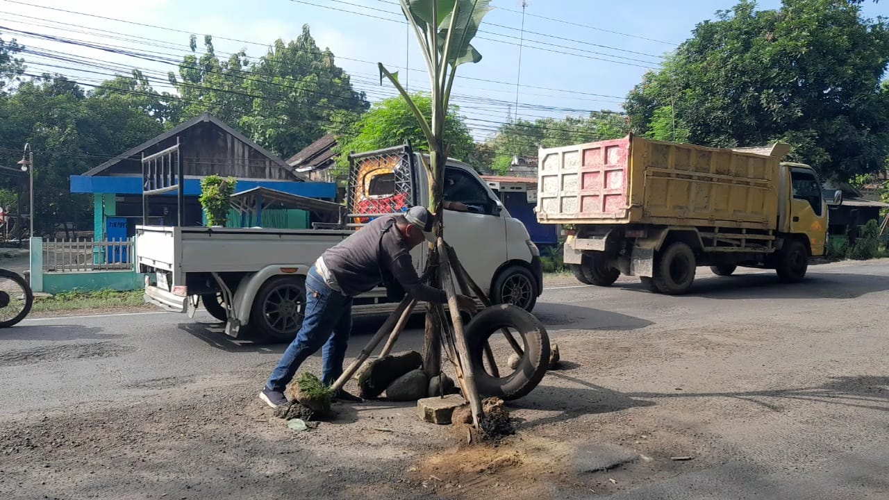 LANGSUNG DIPERBAIKI: Tim BBPJN Jawa Timur&ndash;Bali mencabut pohon pisang dan melakukan perbaikan di Jalan Ngawi&ndash;Solo, Desa Kauman, Widodaren, Senin (19/1).